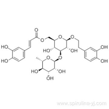 Isoacteoside CAS 61303-13-7